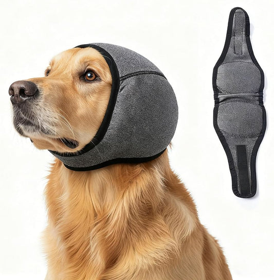 Why Do Dogs Panic During Thunderstorms and Fireworks (And What Actually Helps)