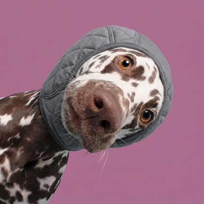 PawGuard